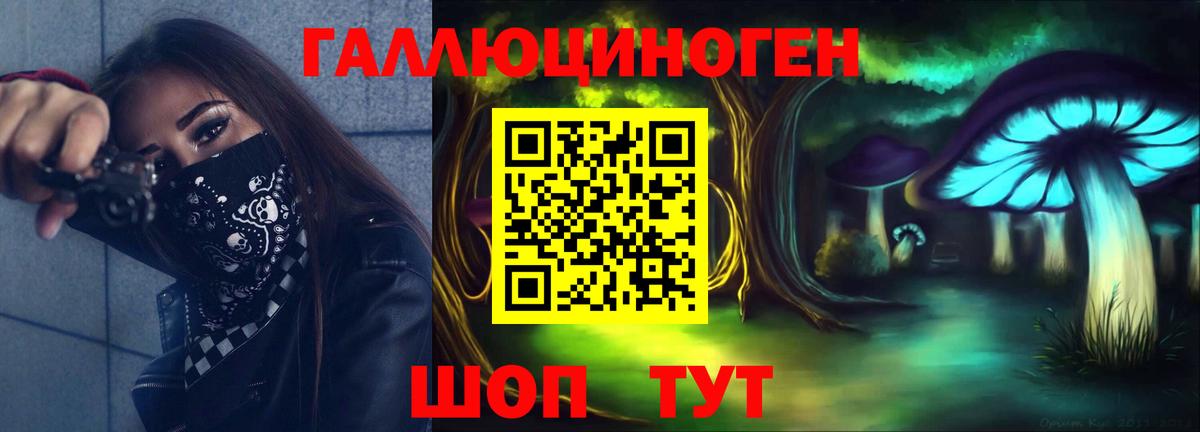 Псилоцибиновые грибы Psilocybe Ивантеевка